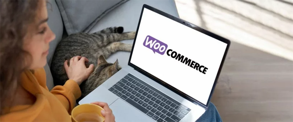 WooCommerce: Monipuolinen verkkokaupparatkaisu